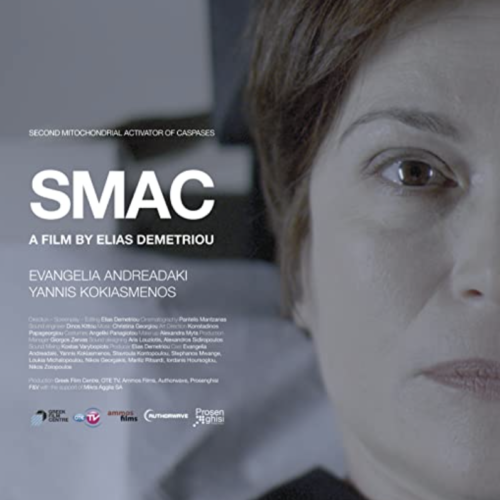 project: Smac
